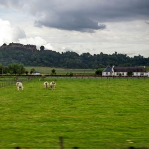 Stirling Castle