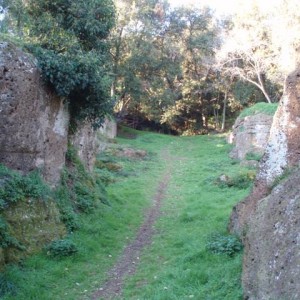 necropolis