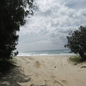 Fraser island
