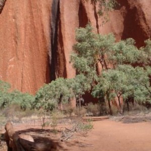 Περιδιαβαίνοντας το Uluru