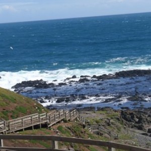 Phillip Island