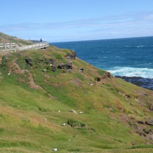 Phillip Island!