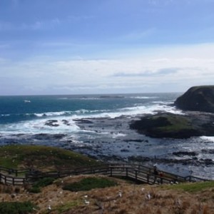 Phillip Island