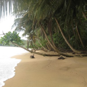 Puerto Viejo beach