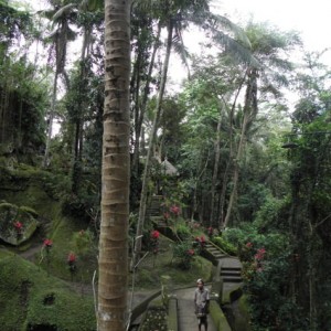 Goa Gajah (the Elephant Cave)