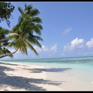 Dhaalu Atoll-Angsana Velavaru Resort&Spa