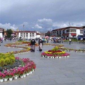 IMGP3518