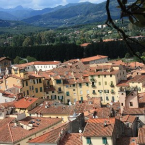 Lucca