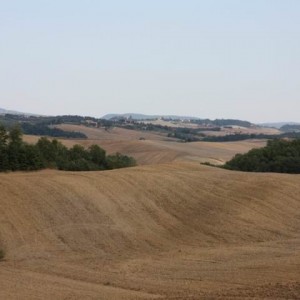 Toscana4