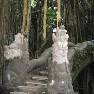 Ubud, Monkey Forest