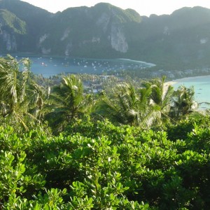 phi phi islands