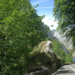 DSCN2908