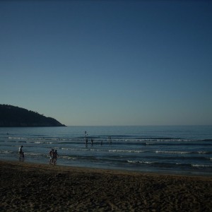 DSCN3006