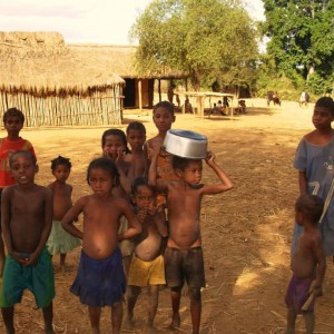 Madagascar 2010