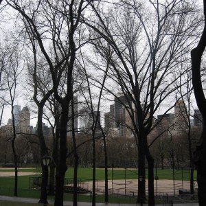 Central Park