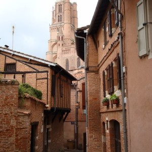 Albi