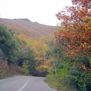 Χολομώντας