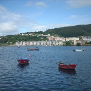 Viveiro