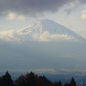 Fuji: one and only