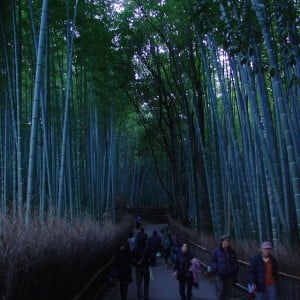 Bamboo forest στο Kyoto