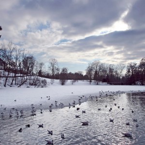 winter lake