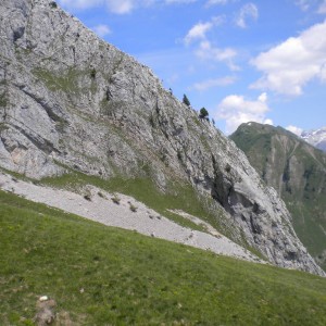 Chinaillon