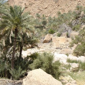 Wadi Tiwi