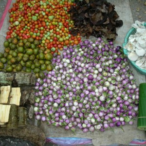 Luang Prabang  πρωινή αγορά