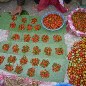 Luang Prabang  πρωινή αγορά