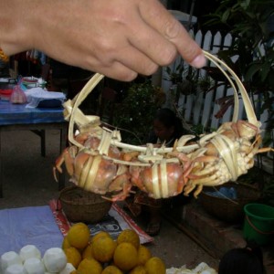 Luang Prabang  πρωινή αγορά