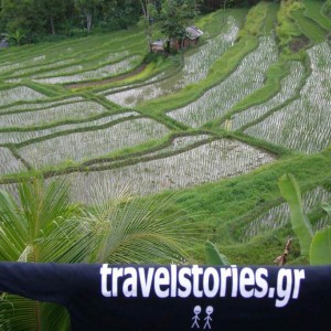 travelstories_in_rice_fields