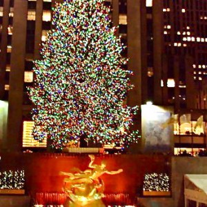 Το μεγαλύτερο δέντρο στον Κόσμο, Νέα Υόρκη!