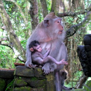 Ubud