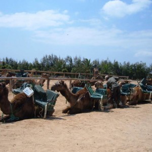 FUERTEVENTURA