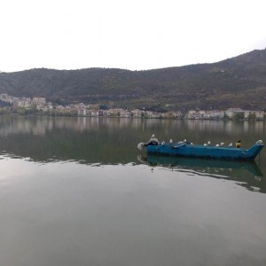 ΚΑΣΤΟΡΙΑ