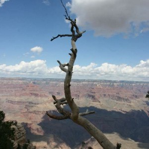 Grand canyon