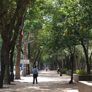 mexico_city_park