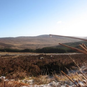 wicklow mountains