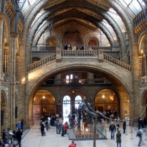 P1294955