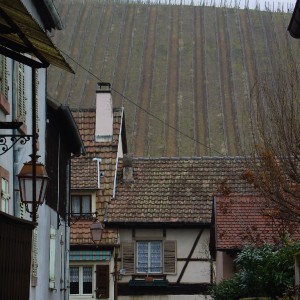 Riquewihr