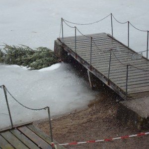 Titisee