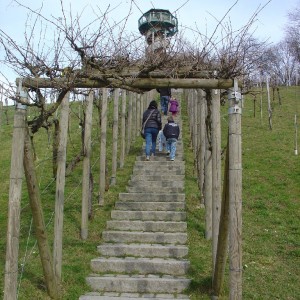 Freiburg