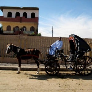 Edfu, west bank of Nile River between Esna and Aswan