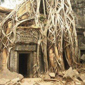 Καμπότζη, Angkor