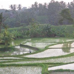 Ubud, Bali