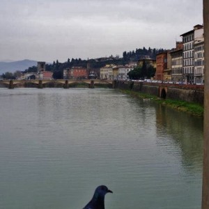 Ponte vechio -  Florence