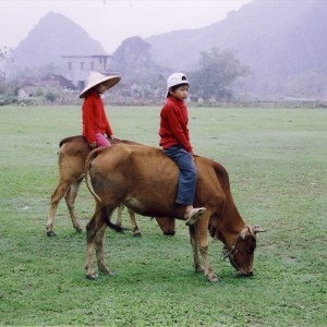 Tam Coc