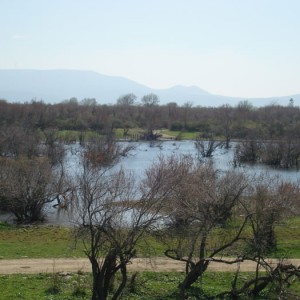 δέλτα του Έβρου