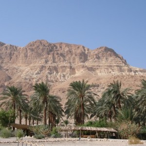 Ein Gedi