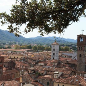 Lucca